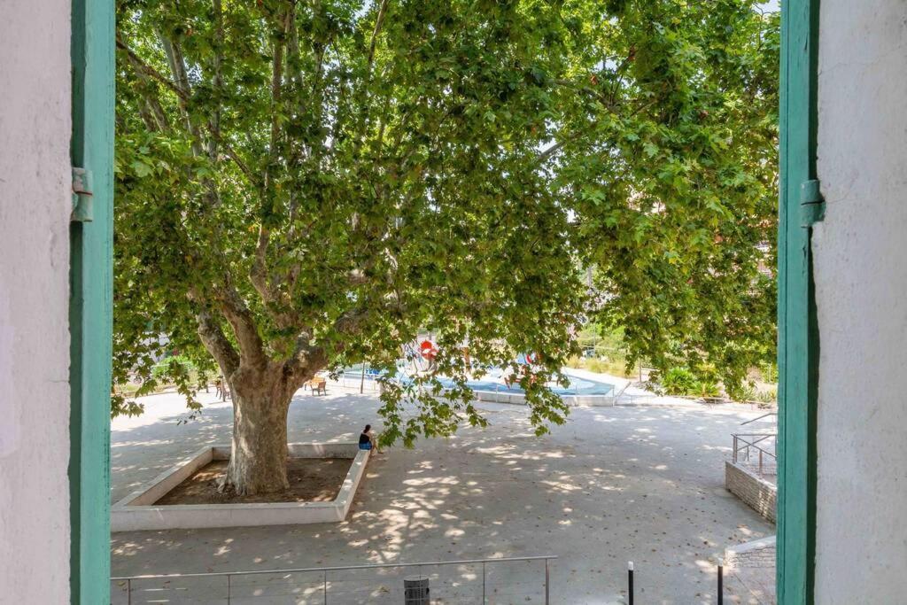 Le Vallombrosa T2 Cannes Buitenkant foto
